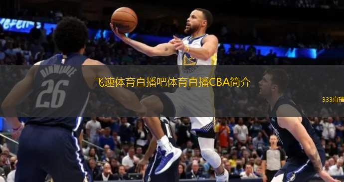 经历表明