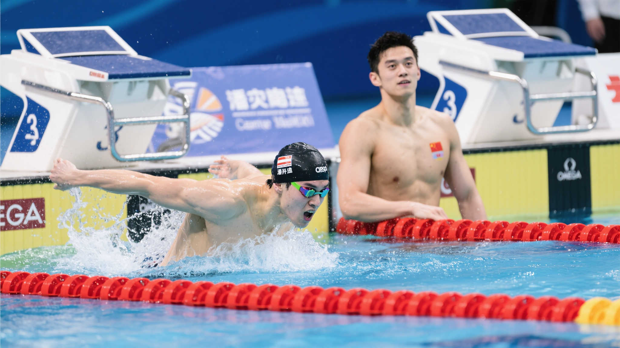 使得他不仅 使得他不仅