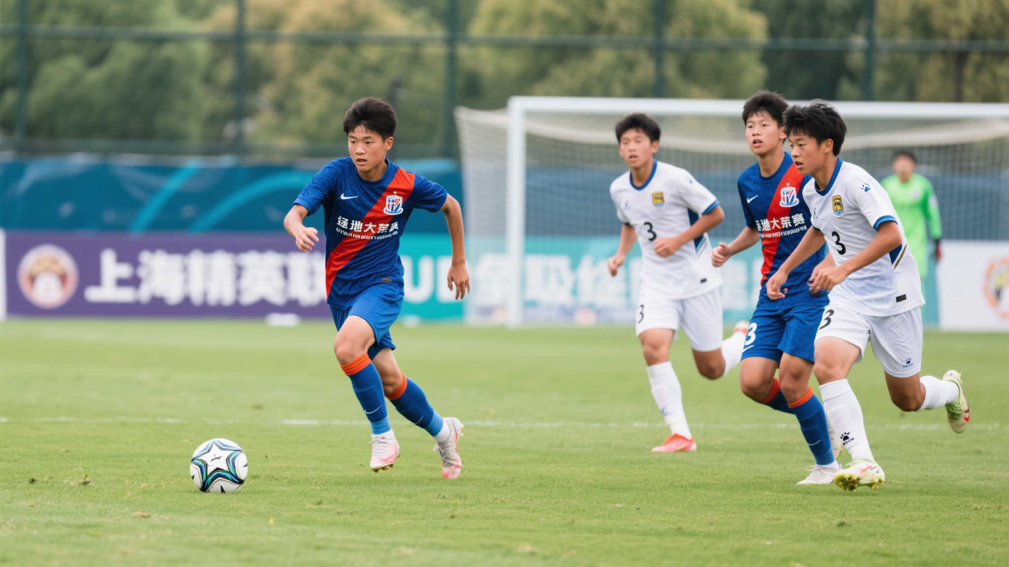 因此引进拥 因此引进拥